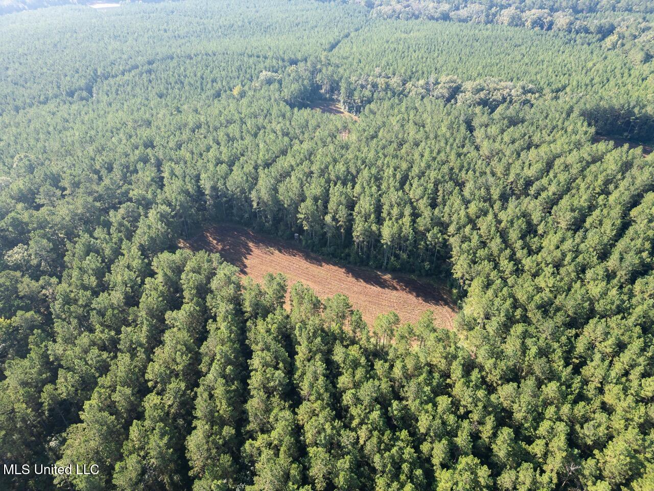 113 Acres Hunting Land with Home in Amite County, MS