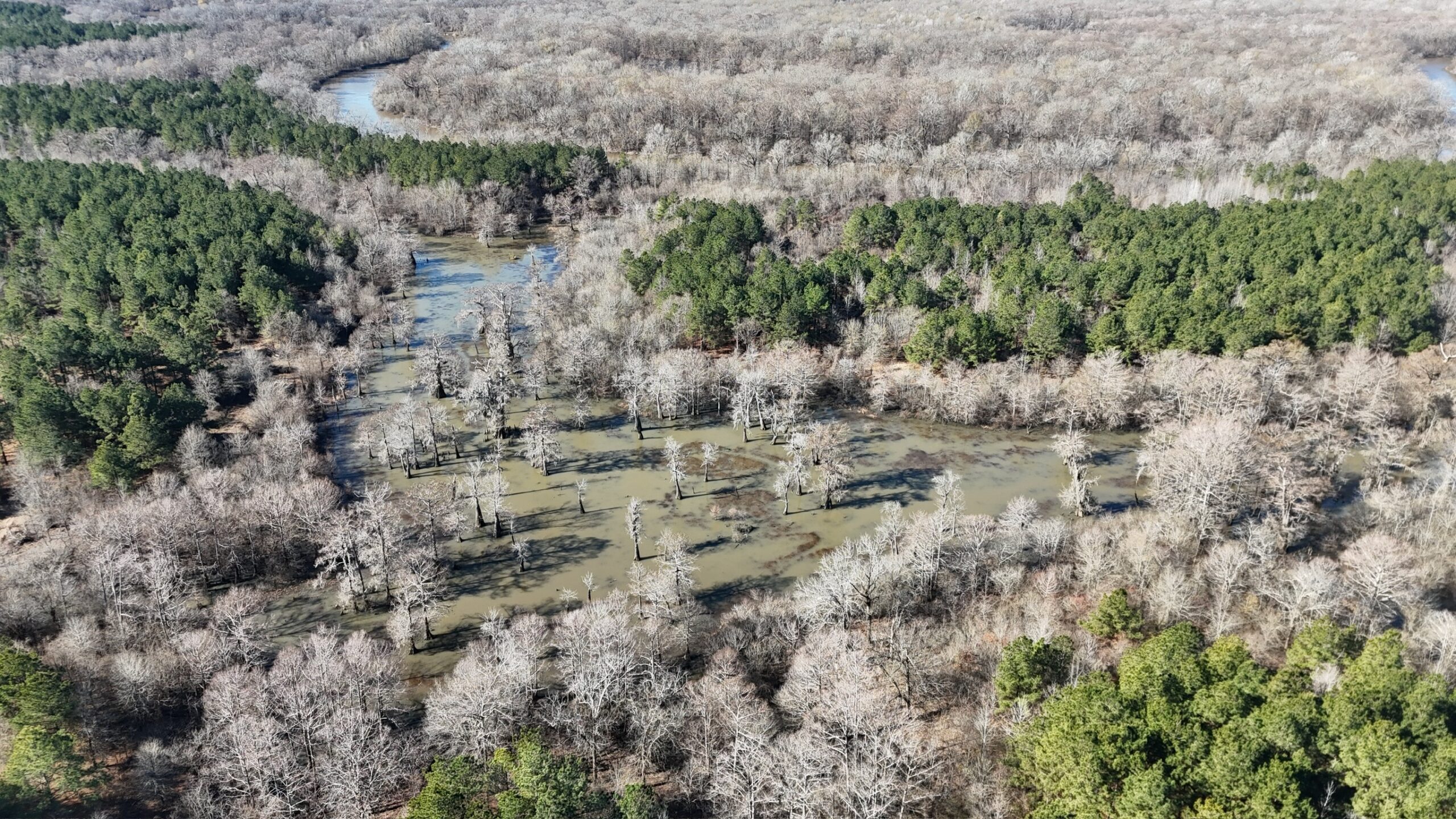 Duck, Deer, and Fishing Land for Sale on Little River