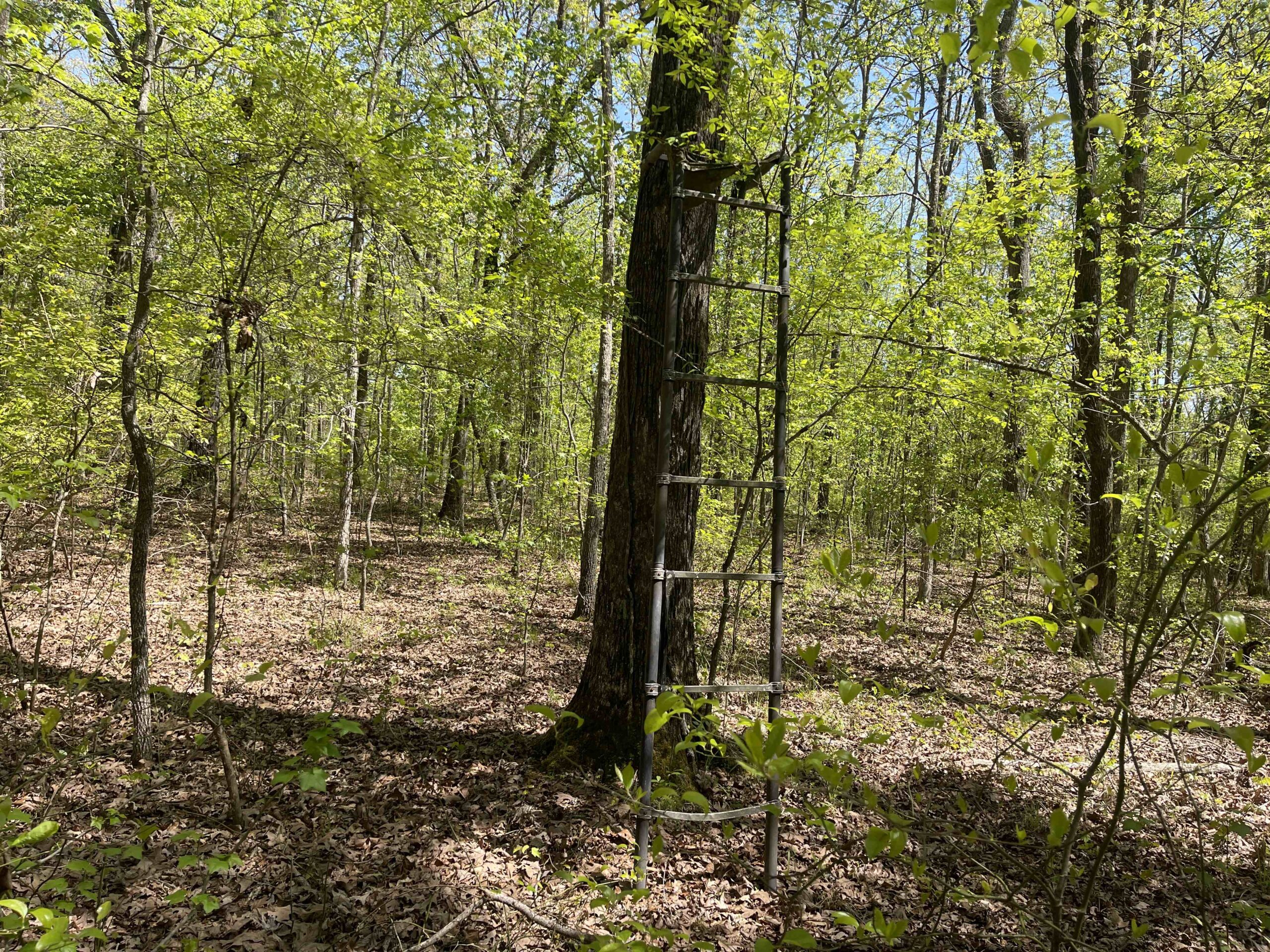WOODED LAND FOR SALE IN TN, HUNTING LAND, LAND TO BUILD ON IN MCNAIRY COUNTY