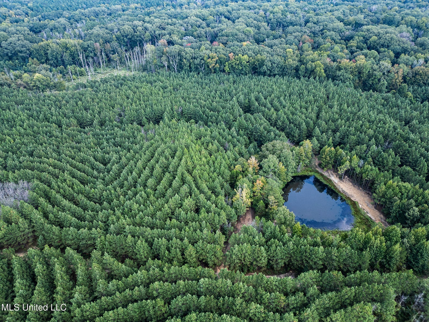 302 Acres in Hermanville, Claiborne County, MS Land