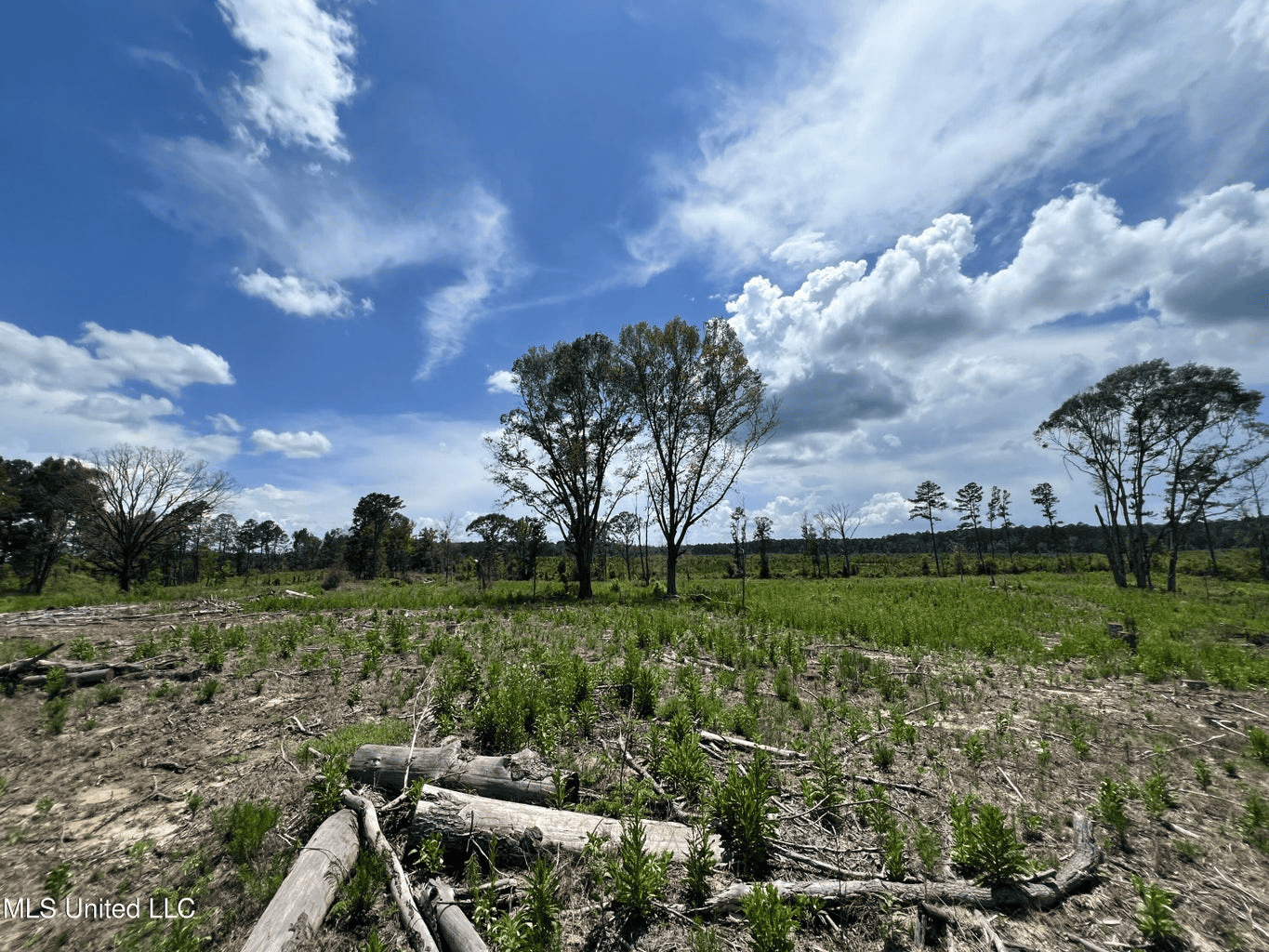 Land for Sale in Amite County, MS