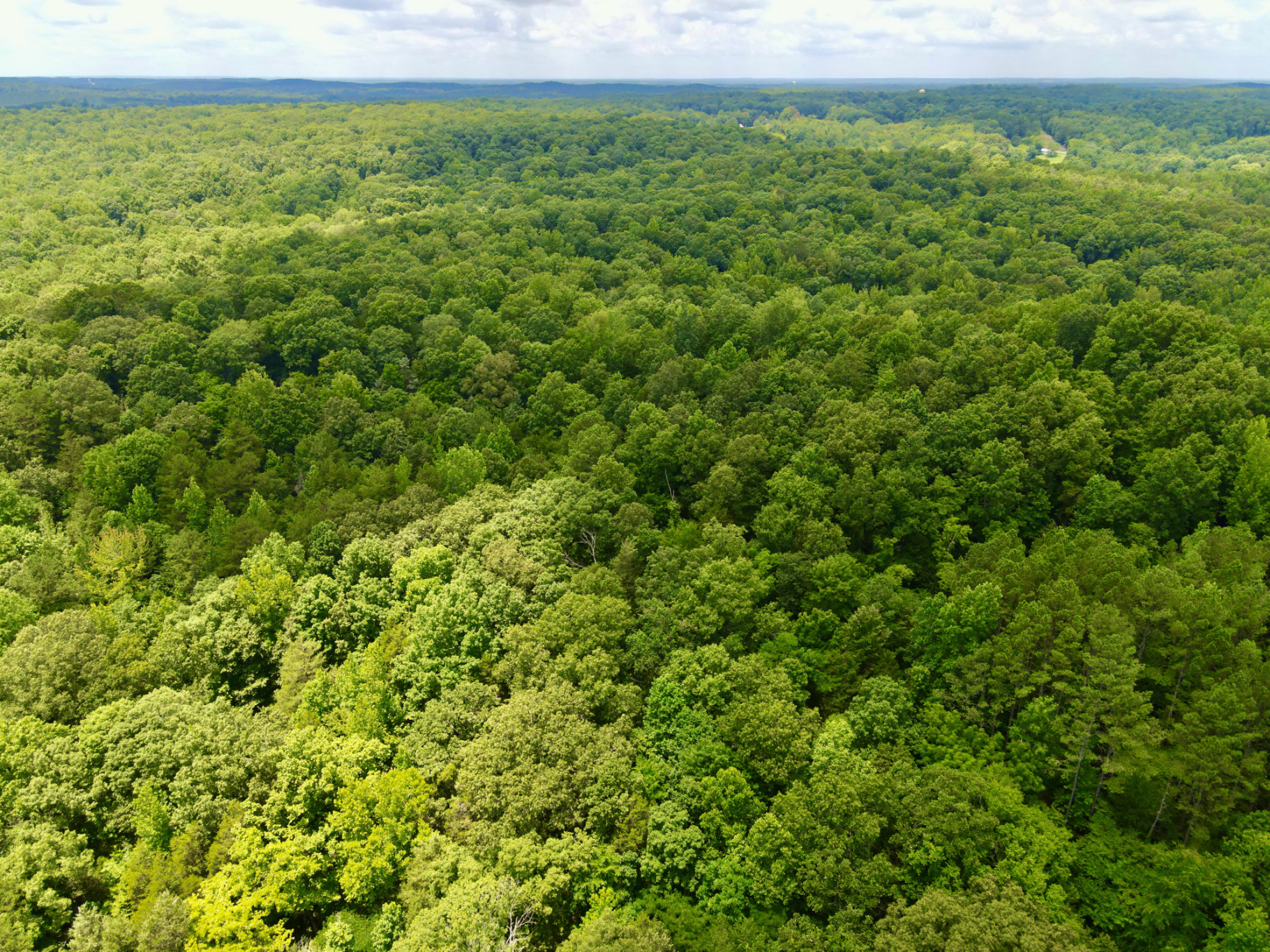 DEER HUNTING PROPERTY FOR SALE IN TN