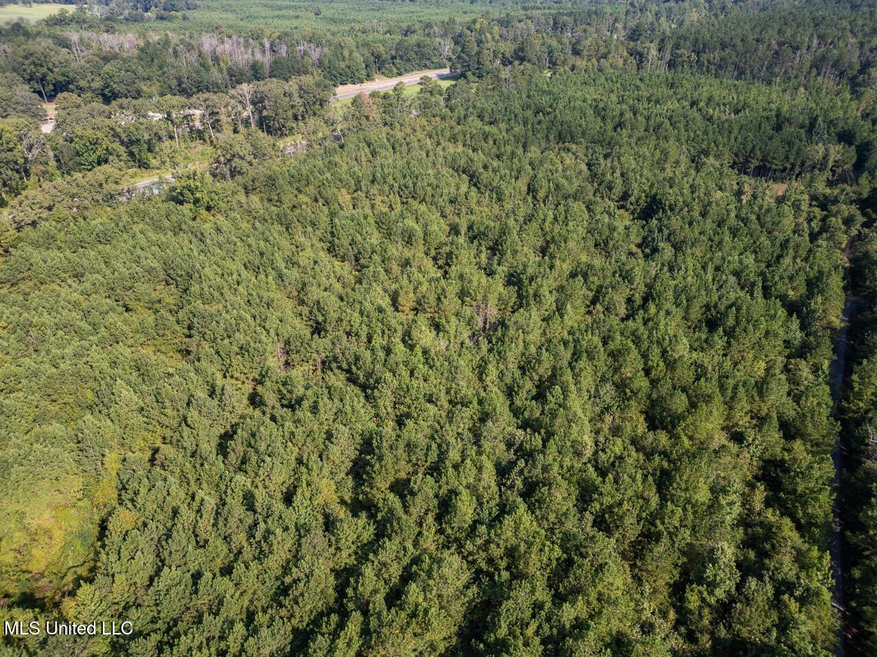 Hunting Land for Sale in Copiah County MS – Dixie Garden 46