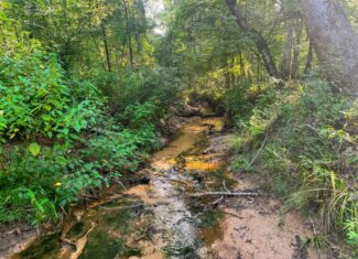 Multi-Use Land for Sale NE Lincoln Parish