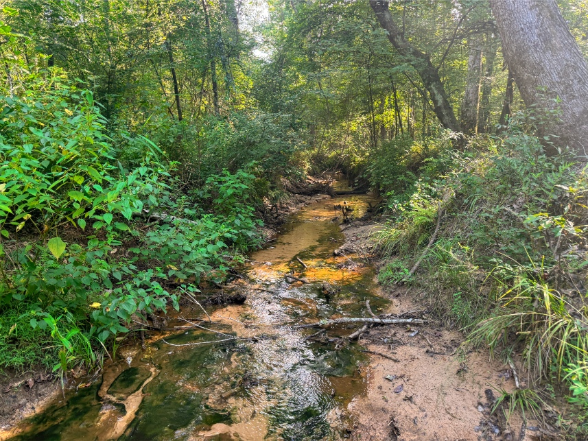 Multi-Use Land for Sale NE Lincoln Parish