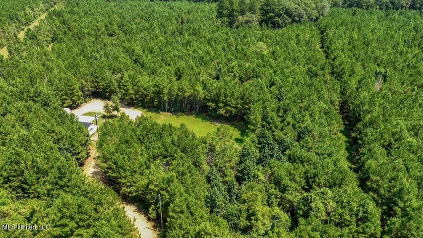 Magnolia MS 18.19 Acres with Mobile Home & Hunting Land