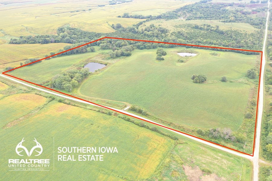 Hunter’s Paradise – 40 Acres…Row Crop, Timber, Building Potential