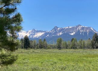 161 Acres San Juan Mountain Land for Sale in Placerville, CO
