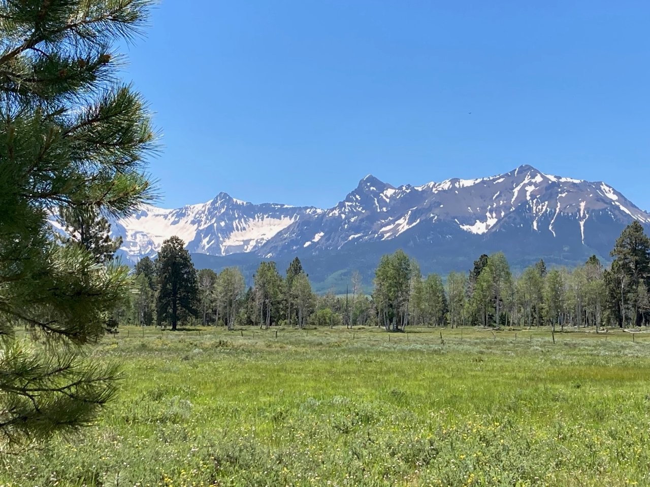 161 Acres San Juan Mountain Land for Sale in Placerville, CO