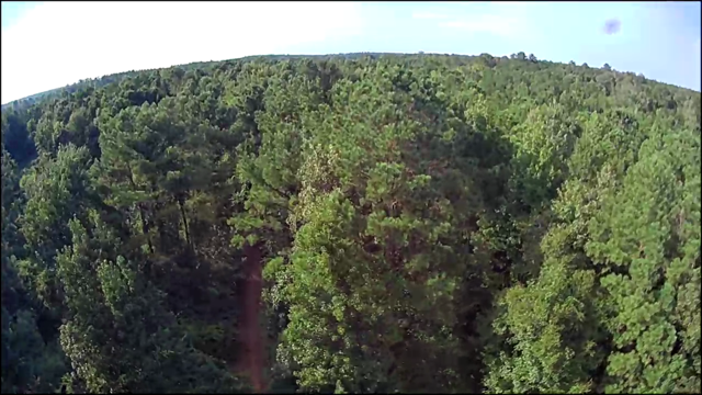 Thomaston Family Hunting and Homesite