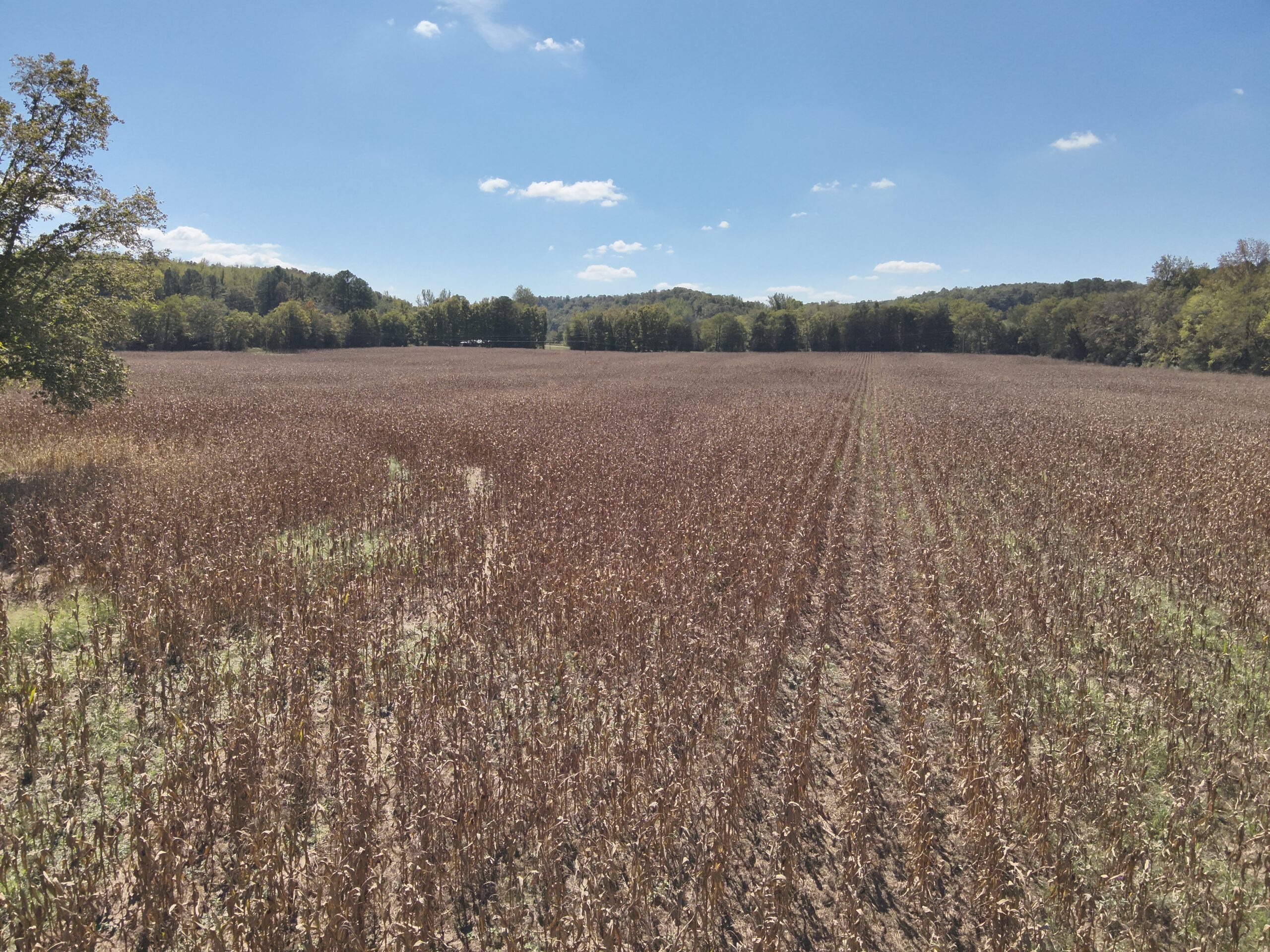 29.5 Acres of Land for Sale with Year Round Creek