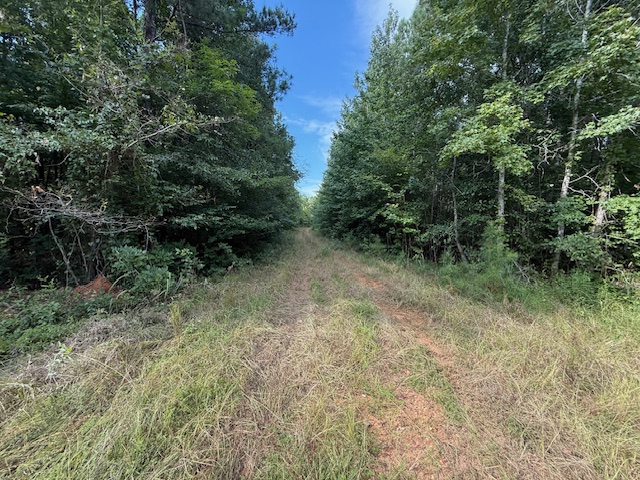 Thomaston Family Hunting and Homesite