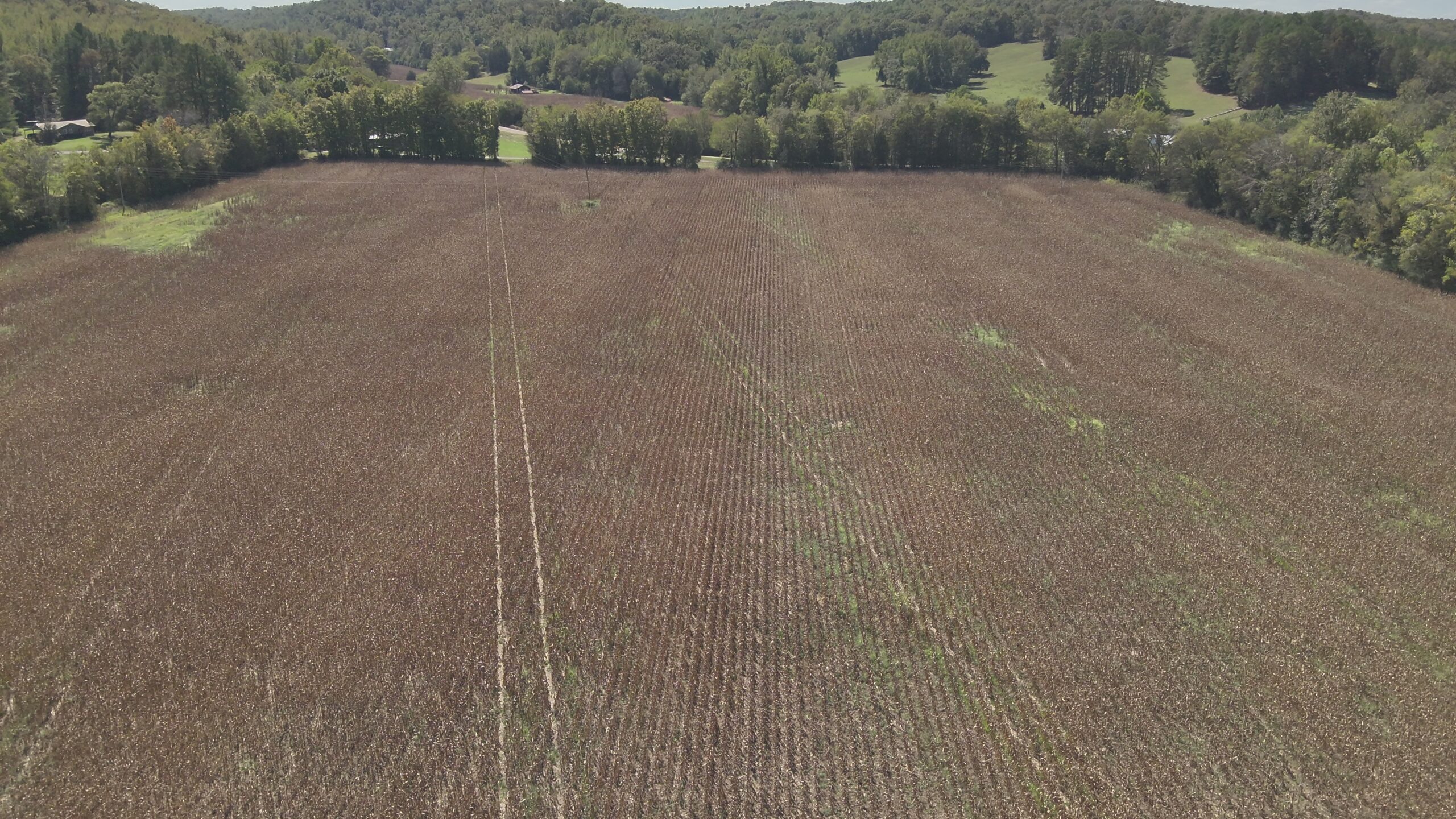 29.5 Acres of Land for Sale with Year Round Creek