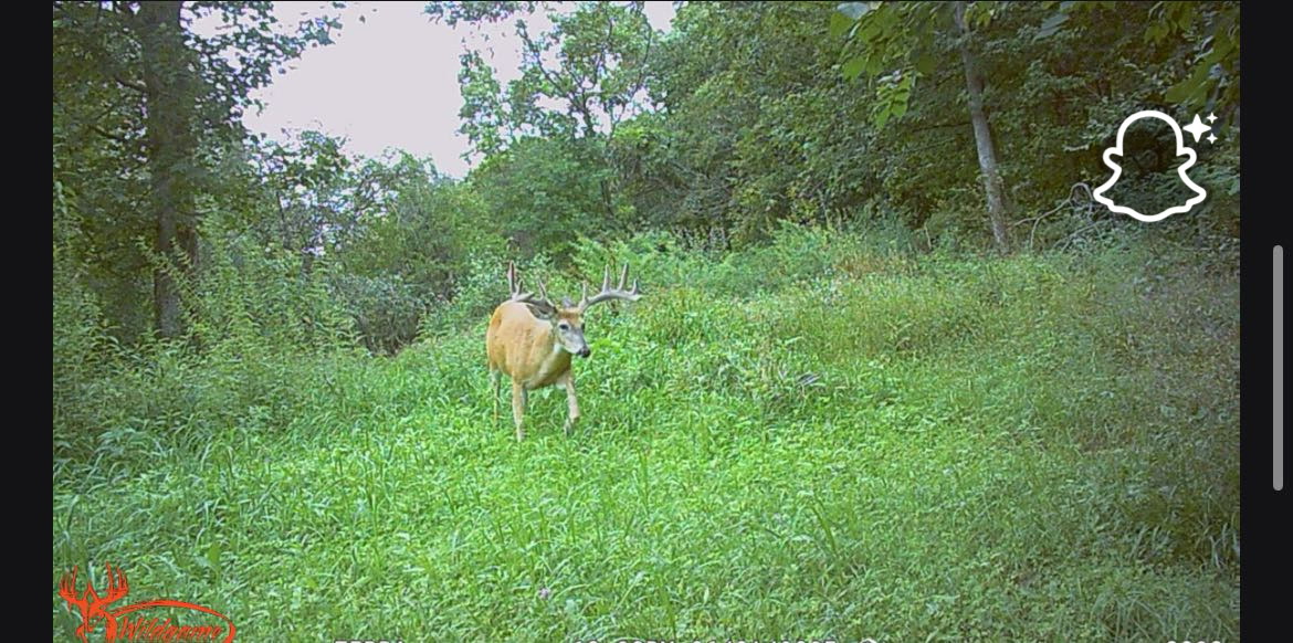 Country Home w/Deer Hunting Richland County