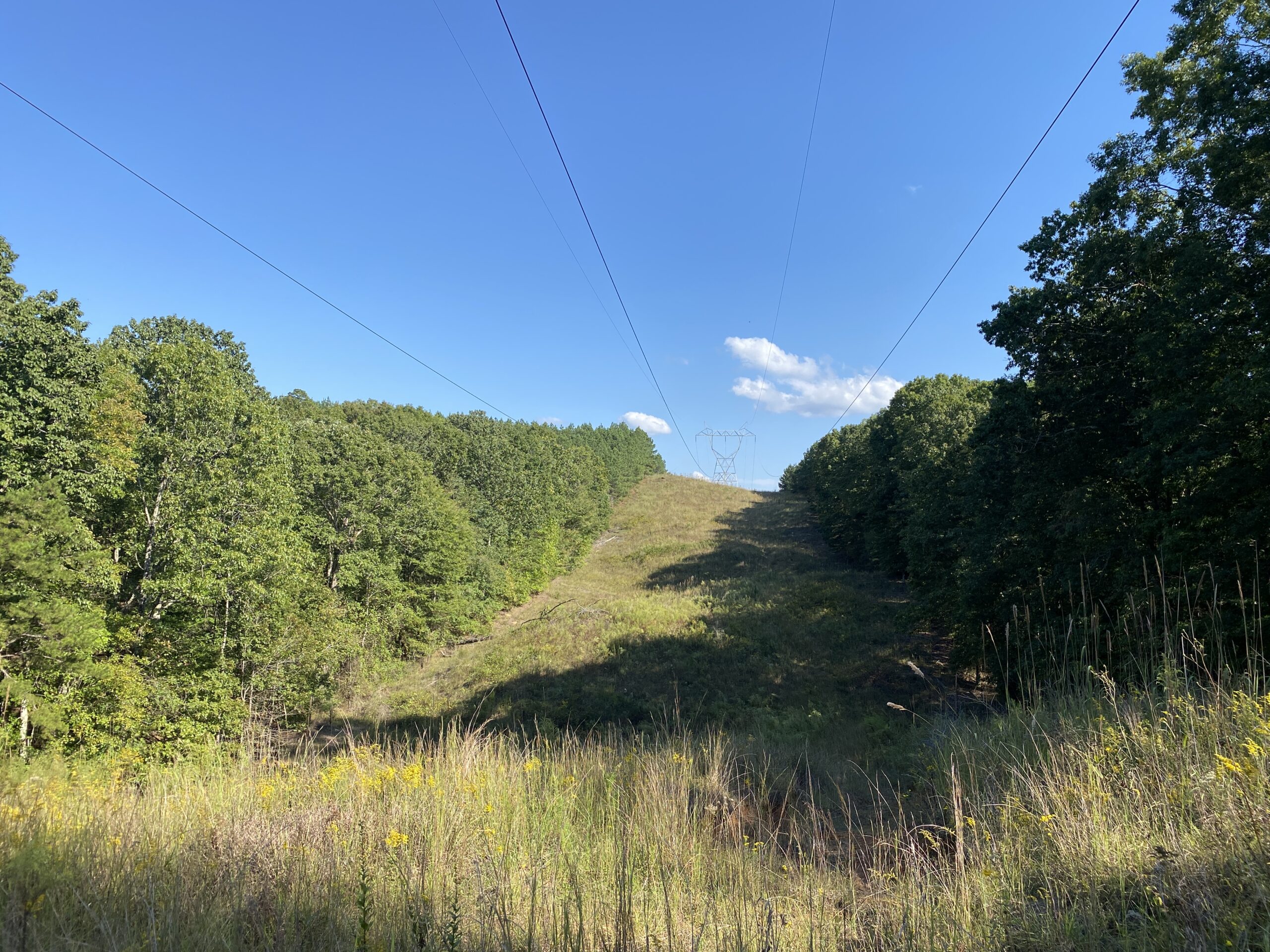 HUNTING CAMP FOR SALE IN TN. CABIN & STORAGE, 58 ACRES+/-