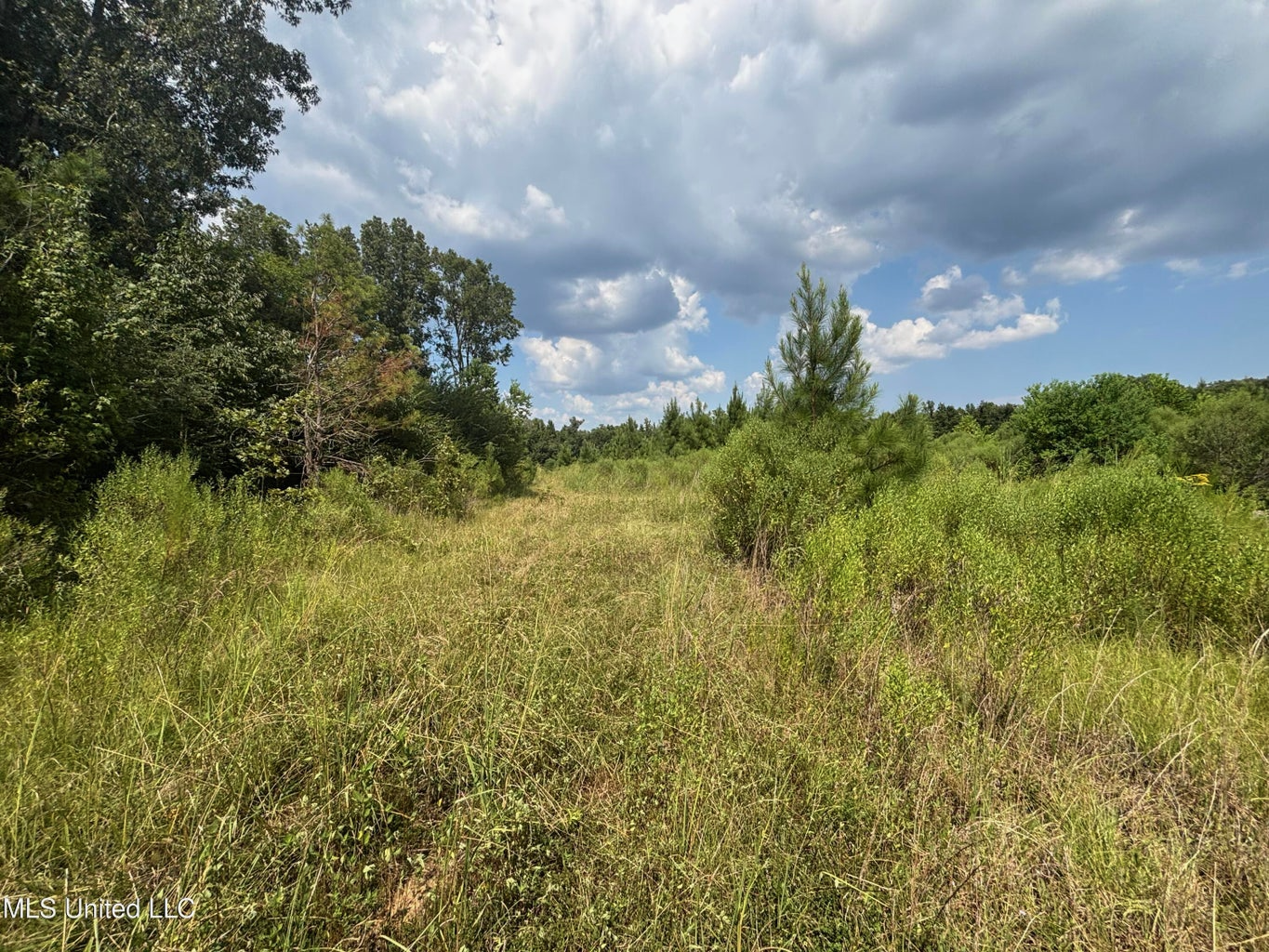 88 Acres for Sale in Hinds County Jackson, MS