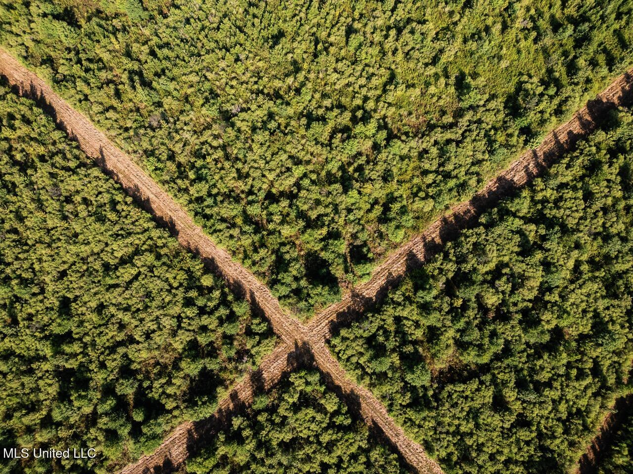Cotton Creek 169 Acres for Sale in Amite County, MS
