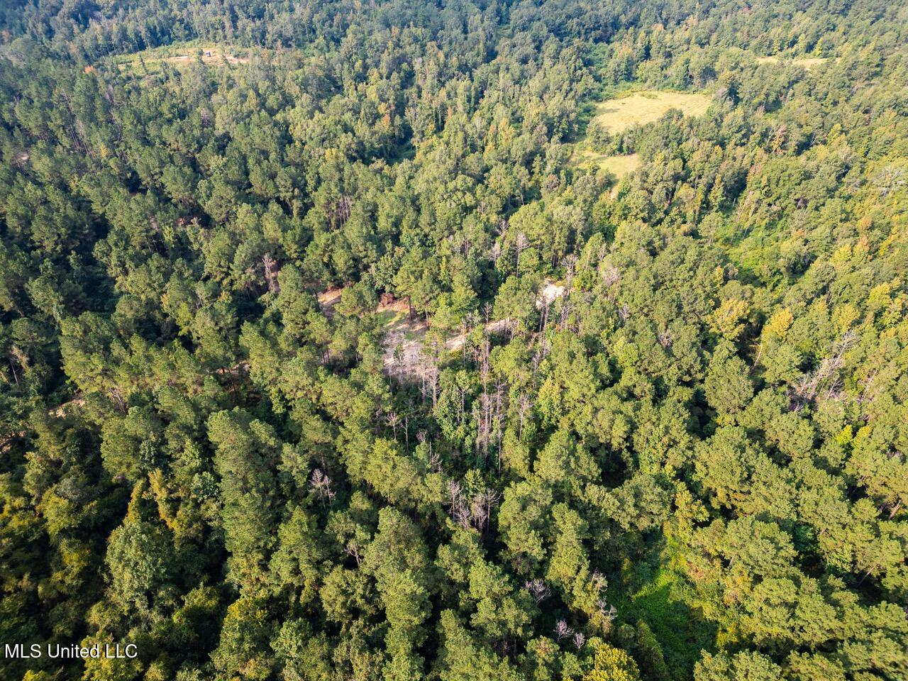 Ramsey Creek 67 Acres for Sale in Centreville, MS