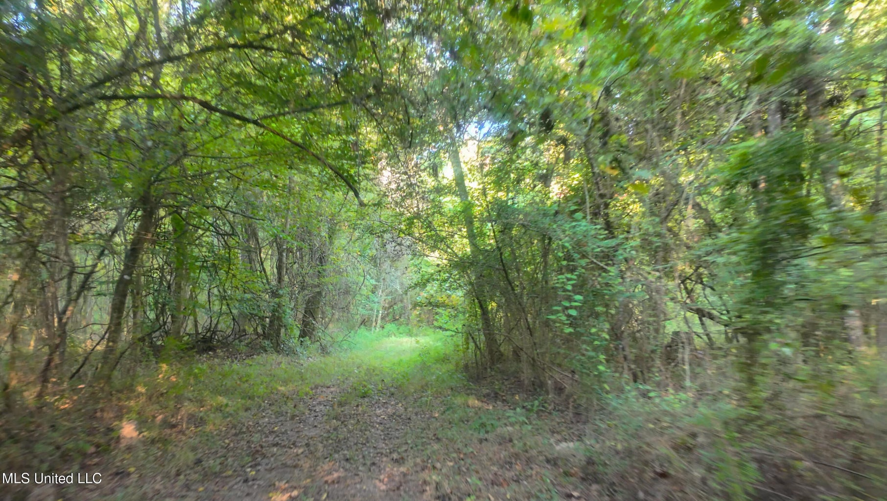 30 Acre Amite River Hunting Tract Amite County MS