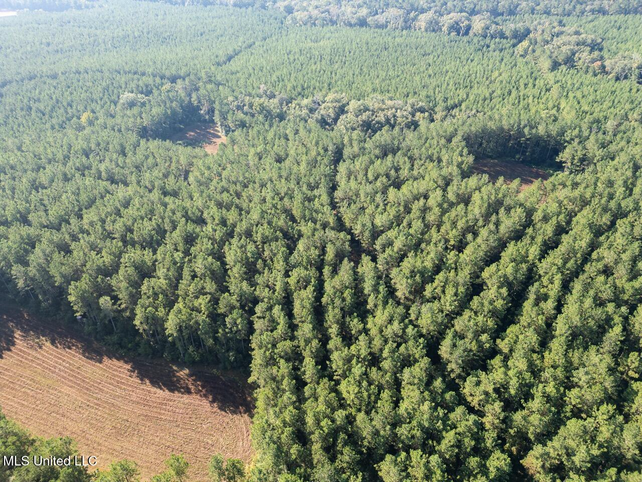 113 Acres Hunting Land with Home in Amite County, MS