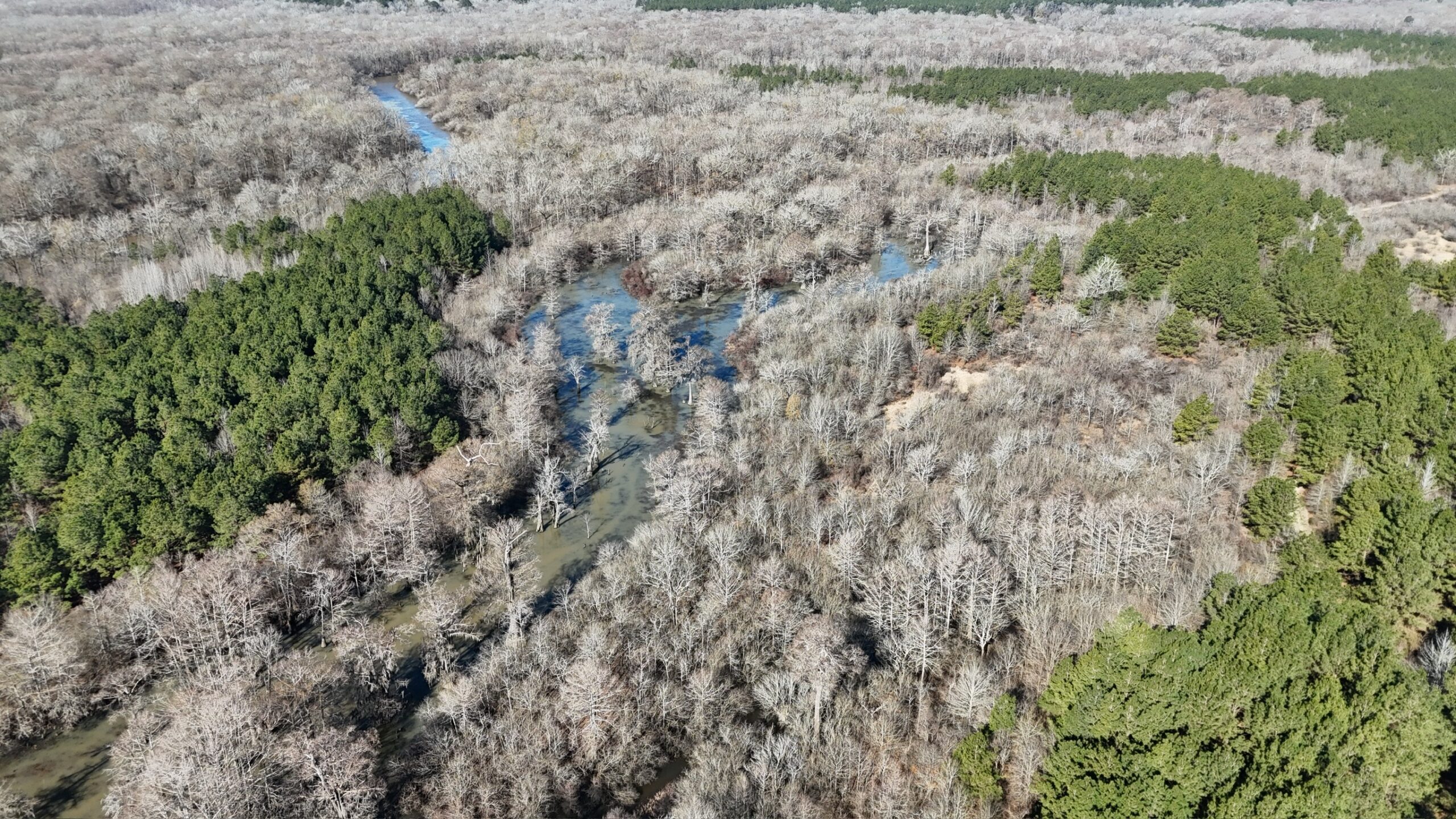 Duck, Deer, and Fishing Land for Sale on Little River