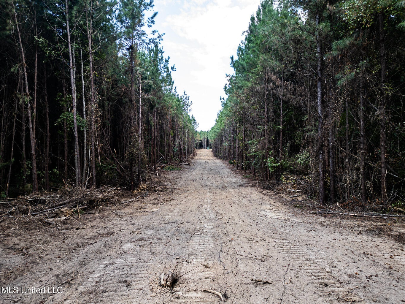 302 Acres in Hermanville, Claiborne County, MS Land