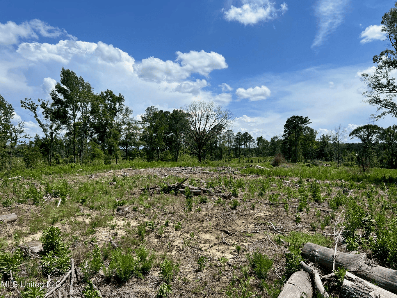 Land for Sale in Amite County, MS