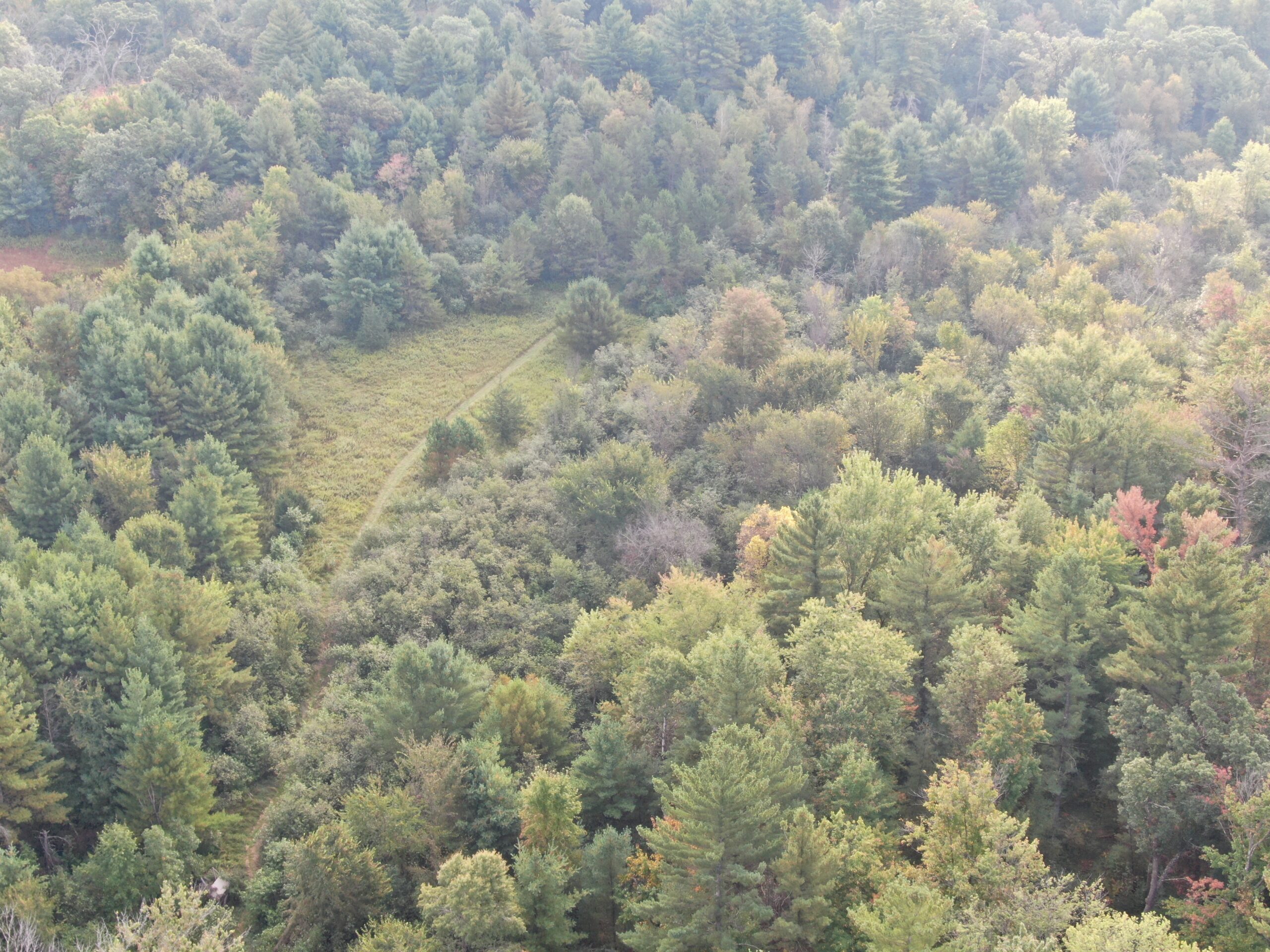 40 acres just north of Wisconsin Dells with abundant deer & turkey habitat