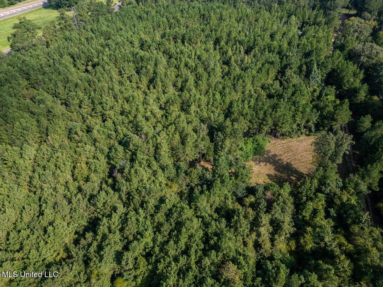 Hunting Land for Sale in Copiah County MS – Dixie Garden 46