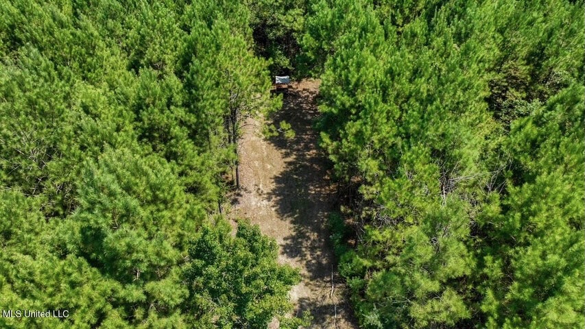 Magnolia MS 18.19 Acres with Mobile Home & Hunting Land