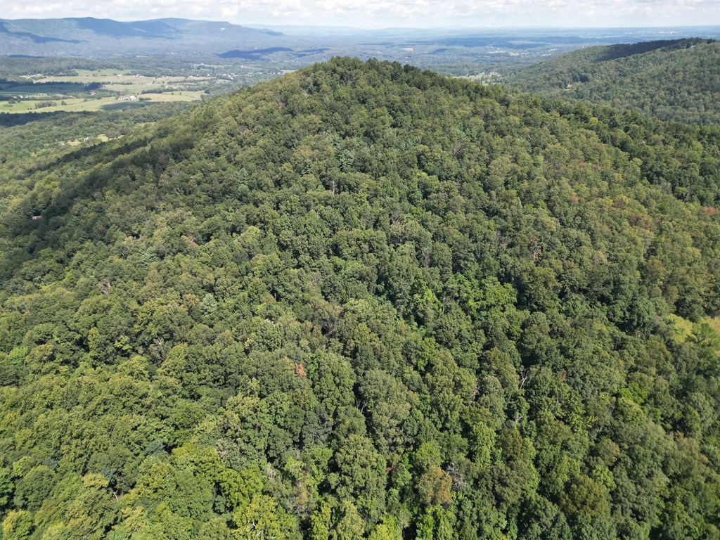 Round Mountain Retreat with Panoramic Views