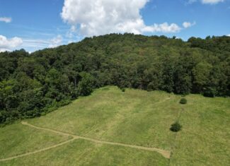 Round Mountain Retreat with Panoramic Views