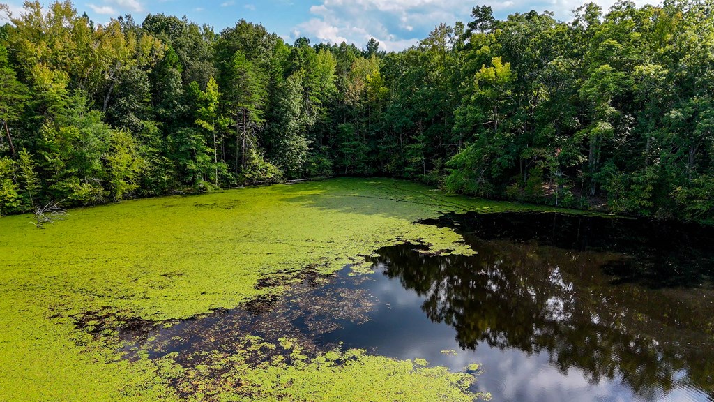 Historic Buckshoal Farm: Hunting, Fishing & Legacy Living