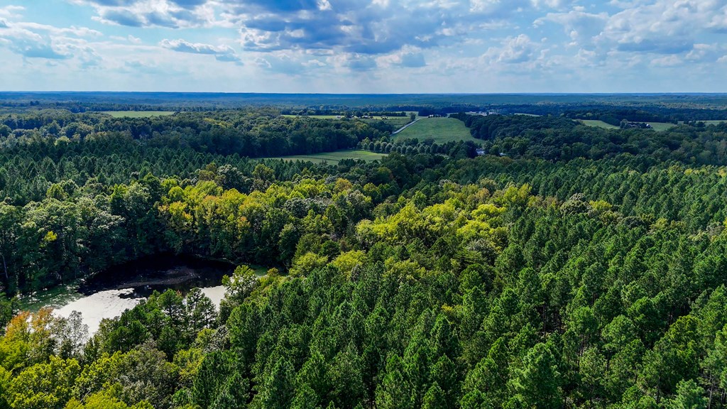 Historic Buckshoal Farm: Hunting, Fishing & Legacy Living