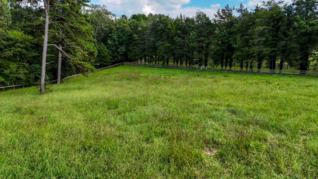 Historic Buckshoal Farm: Hunting, Fishing & Legacy Living