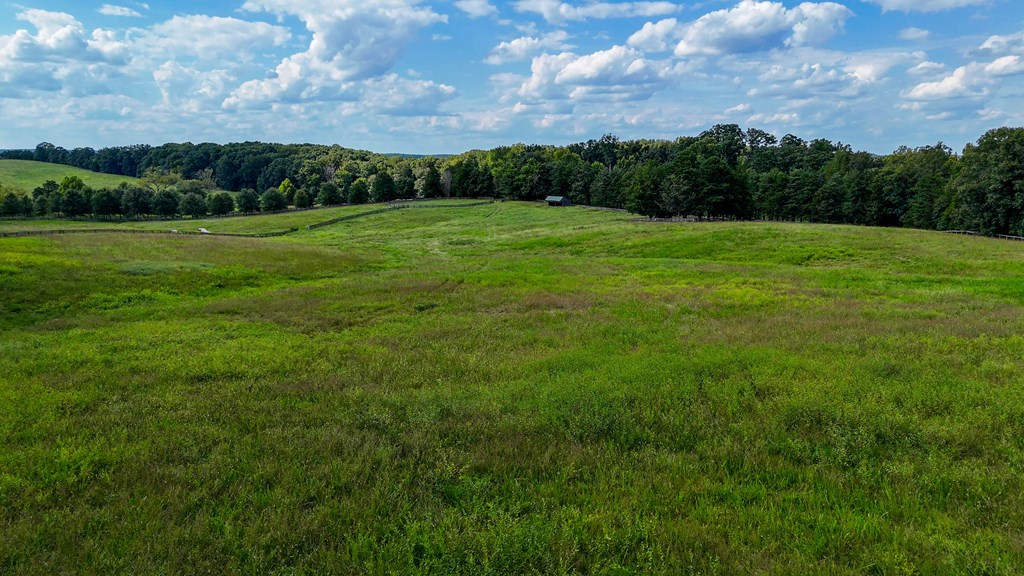 Historic Buckshoal Farm: Hunting, Fishing & Legacy Living
