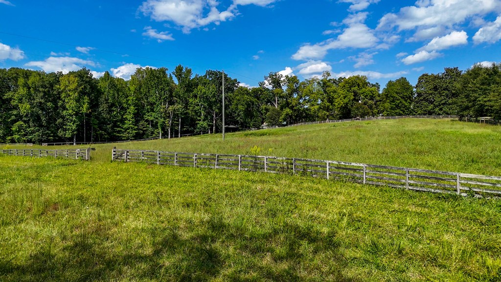 Historic Buckshoal Farm: Hunting, Fishing & Legacy Living