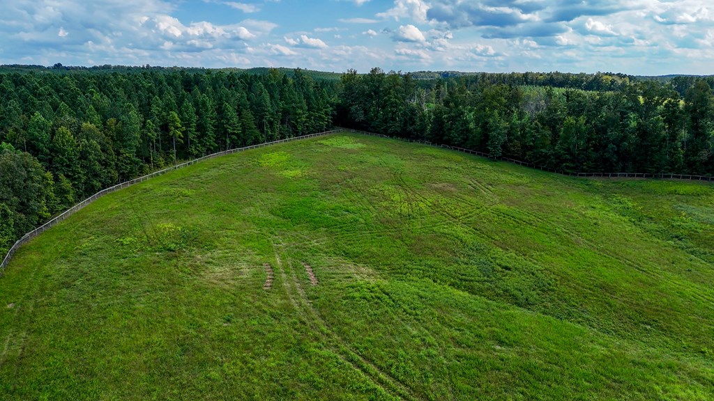 Historic Buckshoal Farm: Hunting, Fishing & Legacy Living