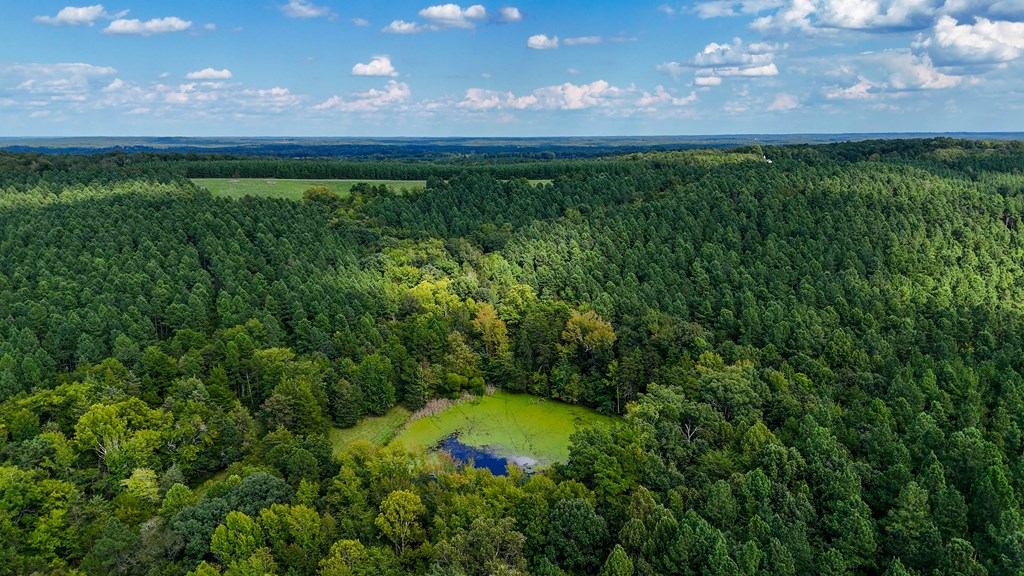 Historic Buckshoal Farm: Hunting, Fishing & Legacy Living