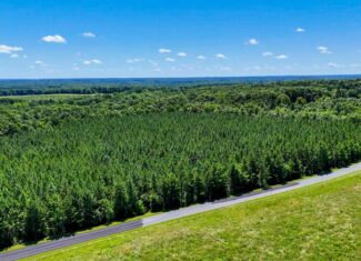 Historic Buckshoal Farm: Hunting, Fishing & Legacy Living