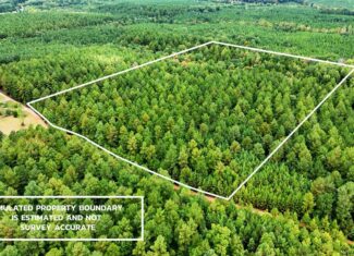 Surveyed Land with Timber, Soils, and Power Ready to Build