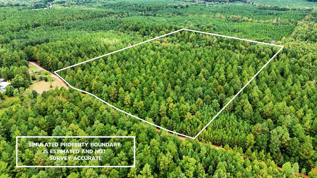 Surveyed Land with Timber, Soils, and Power Ready to Build