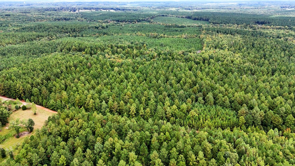 Surveyed Land with Timber, Soils, and Power Ready to Build