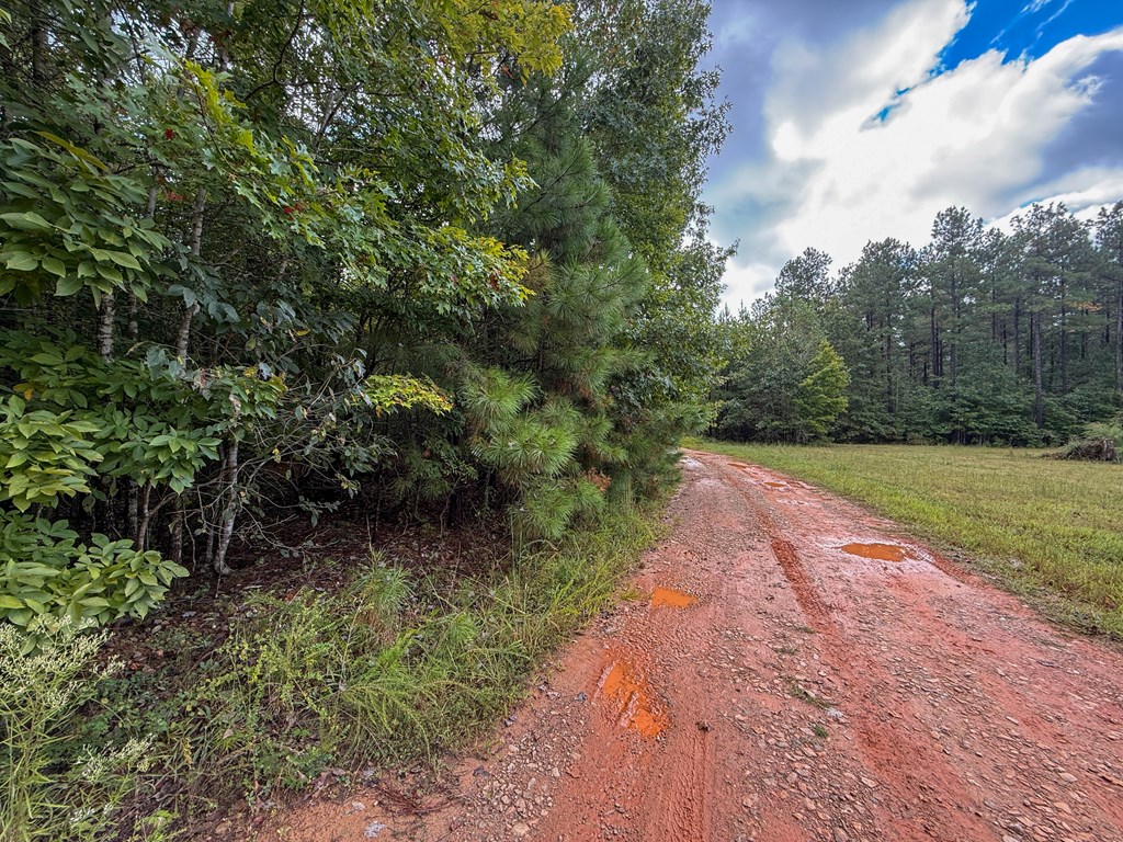 Surveyed Land with Timber, Soils, and Power Ready to Build