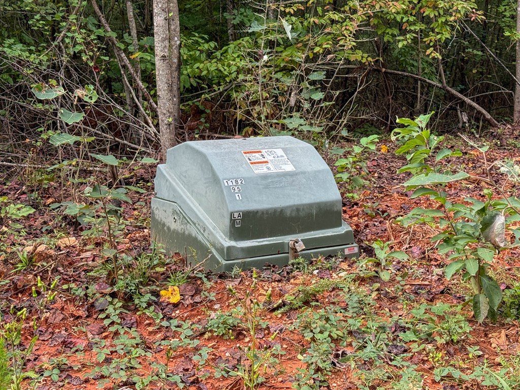 Surveyed Land with Timber, Soils, and Power Ready to Build