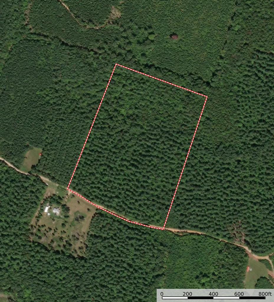 Surveyed Land with Timber, Soils, and Power Ready to Build