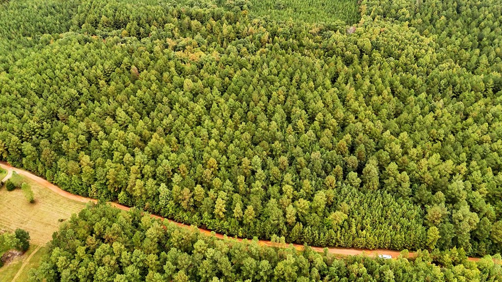 Surveyed Land with Timber, Soils, and Power Ready to Build