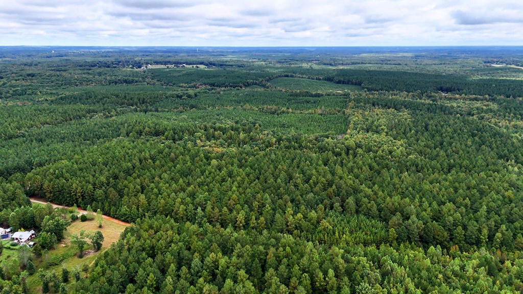 Surveyed Land with Timber, Soils, and Power Ready to Build