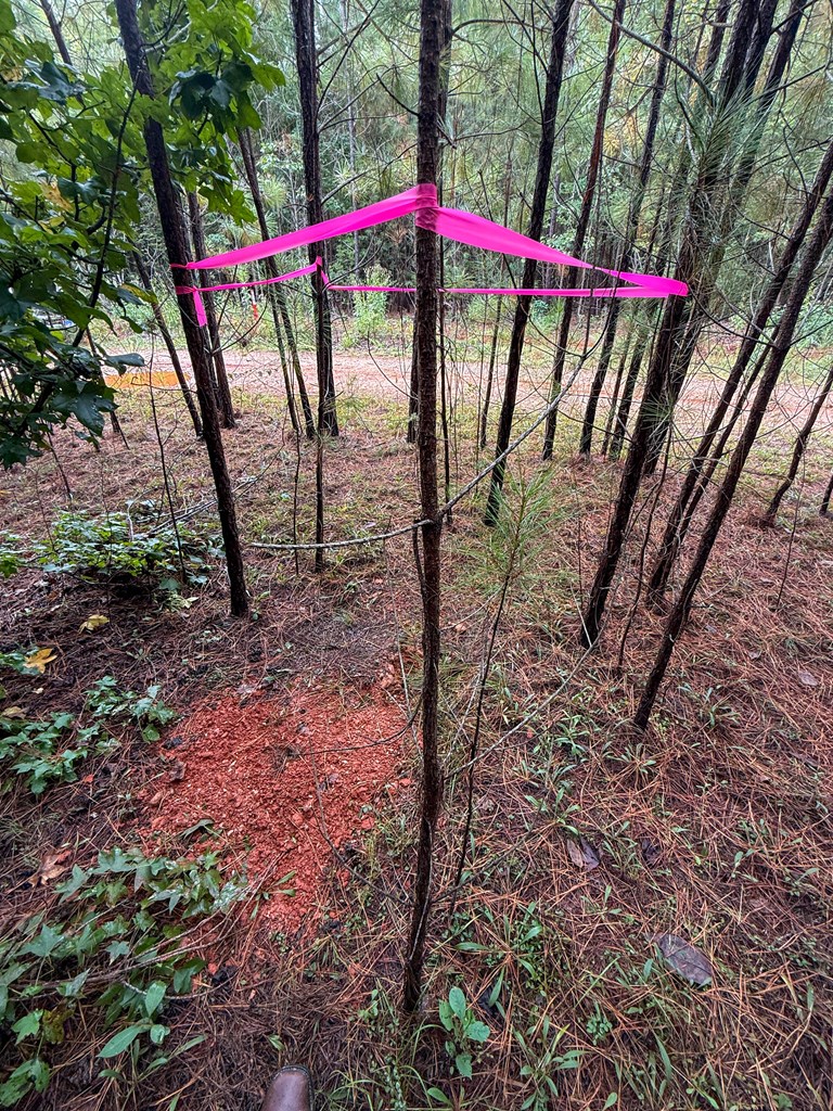 Surveyed Land with Timber, Soils, and Power Ready to Build