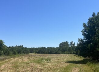 389 Acres Hunting & Timberland with Cabin in Autauga County, Alabama